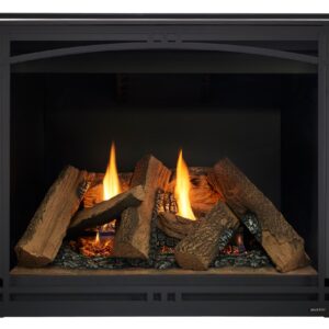 Meridian/Meridian Platinum Gas Fireplace