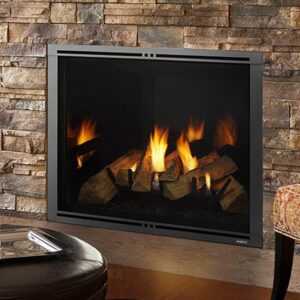Marquis II Direct Vent Gas Fireplace