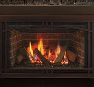 Ruby Series Direct Vent Gas Insert