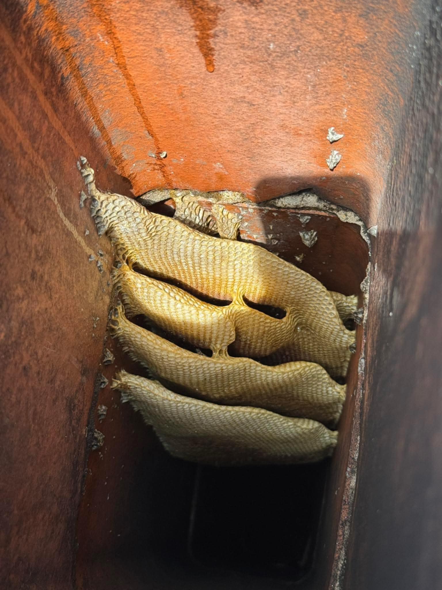 Minnesota chimney liners